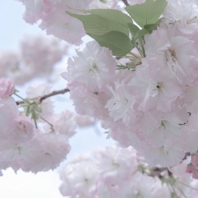 南乐福瑞交流群